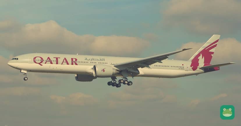 Novak Djokovic's drink is now on Qatar Airways' US flights. Here's what we know