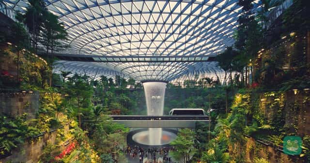 Air New Zealand adds Christchurch–Bali nonstops and keeps Christchurch–Singapore year-round
