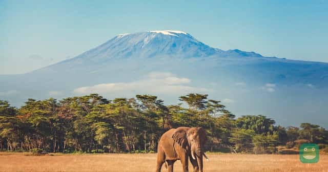 British Airways summer 2027: Kilimanjaro and Zanzibar, daily Buenos Aires, more St. Louis and Cincinnati